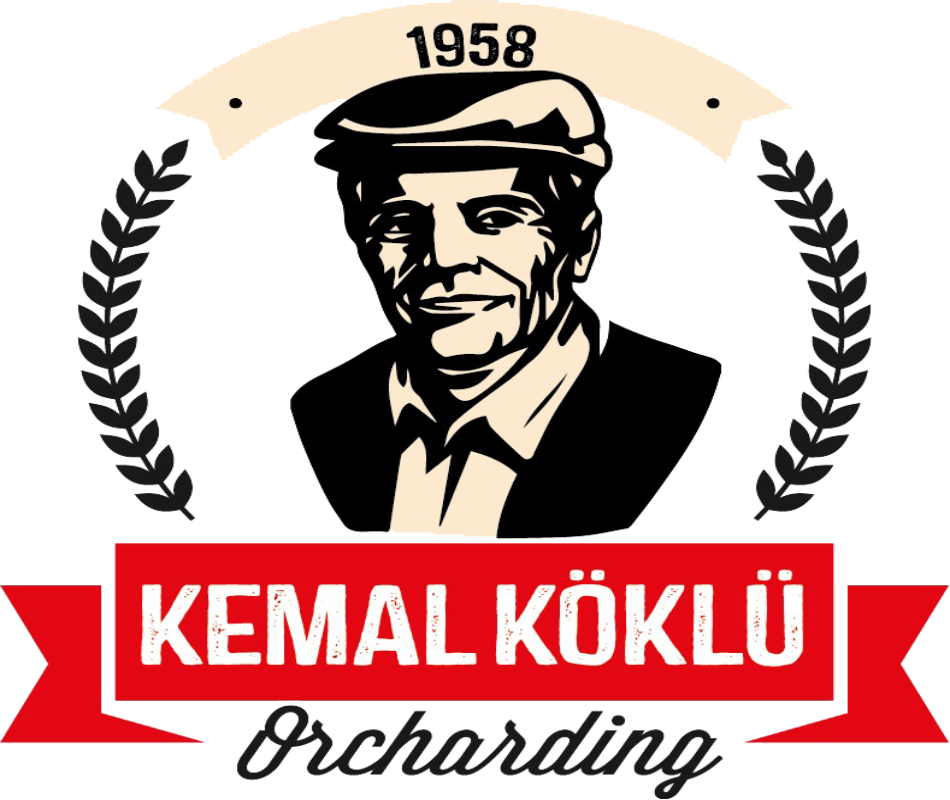 Kyocera
